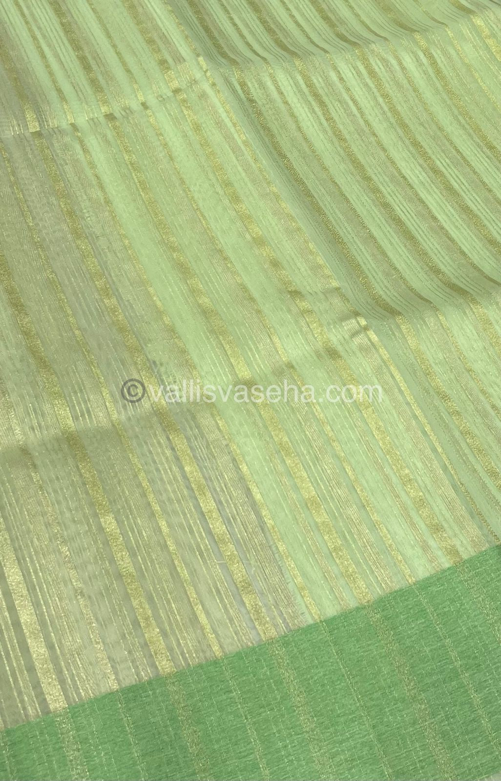 Organza Saree - Light Green Shade - VVOS001