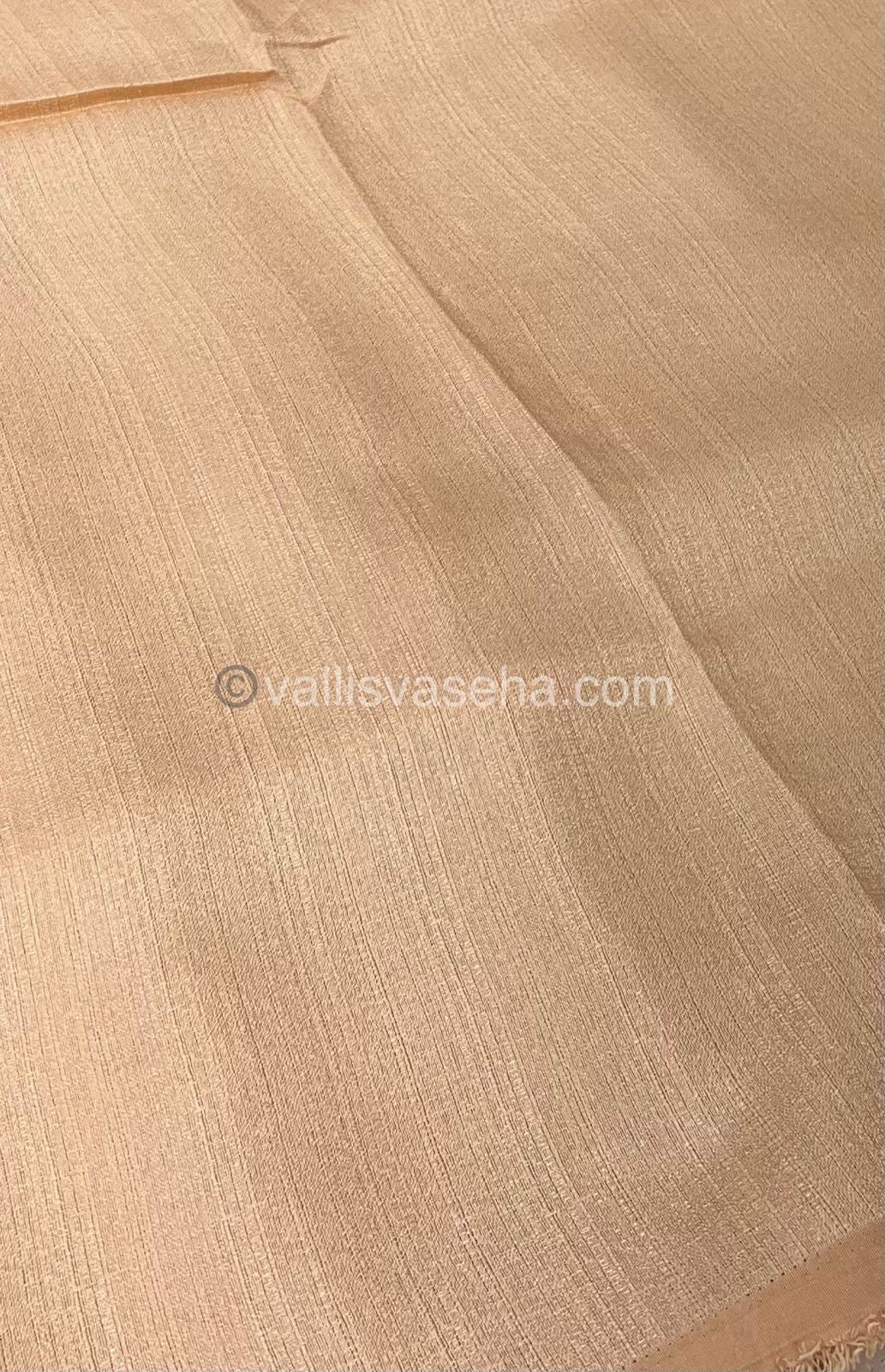 Organza Saree - Light peach Shade - VVOS001