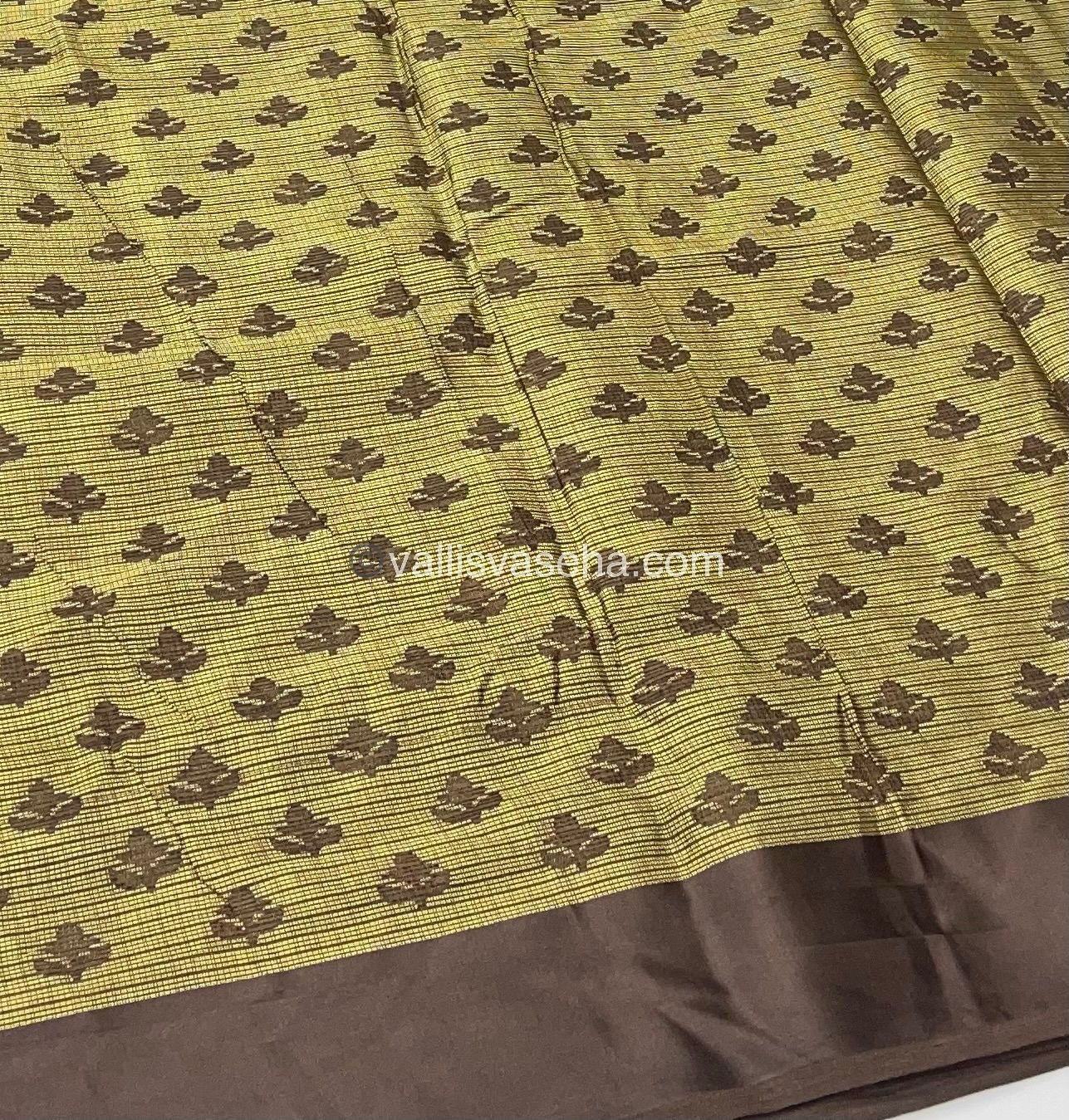 Mixed Cotton Brasso Saree - VVBS001