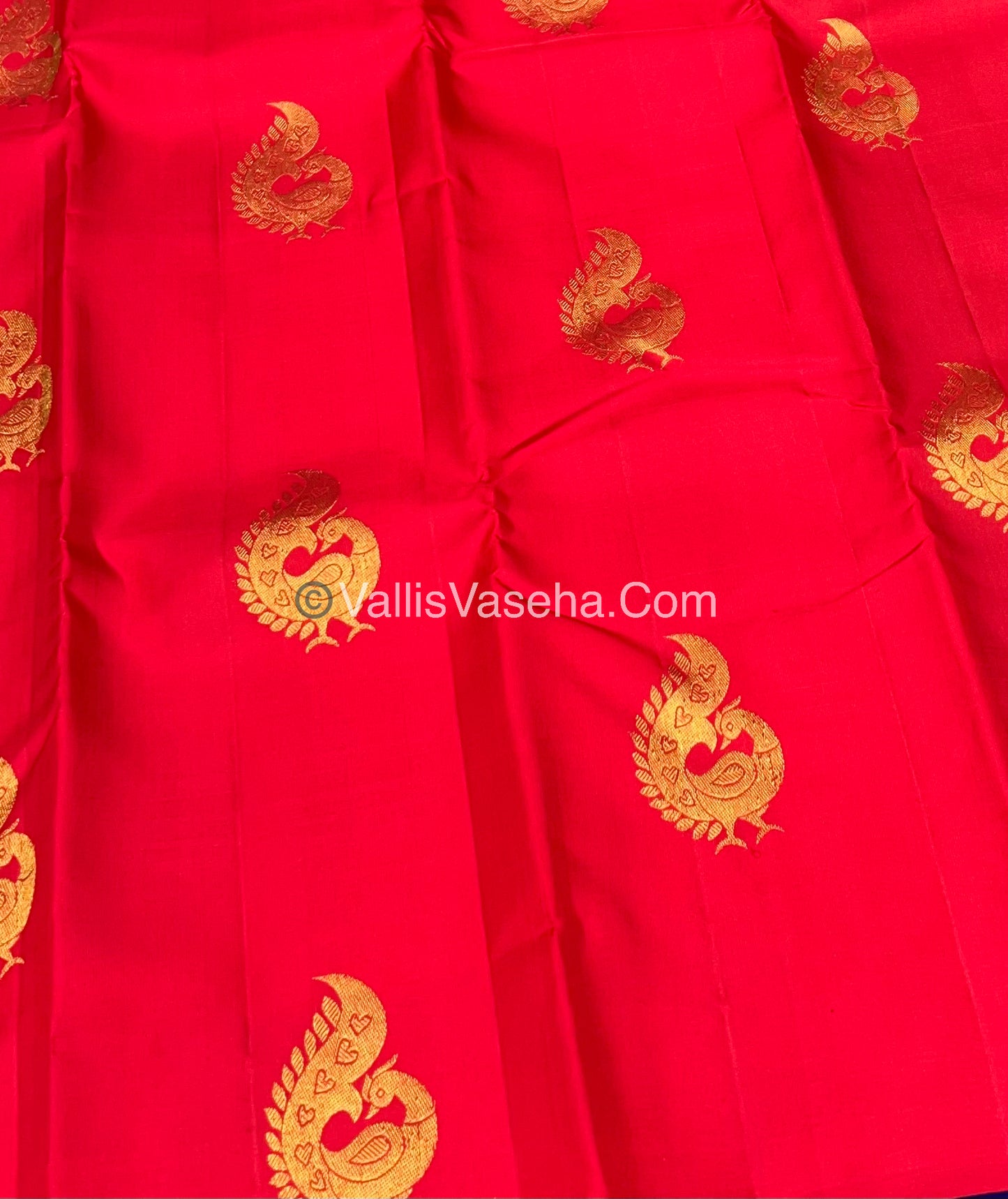 Pure Kanchipuram Silk Saree - Borderless - Red with Green - VVPS014