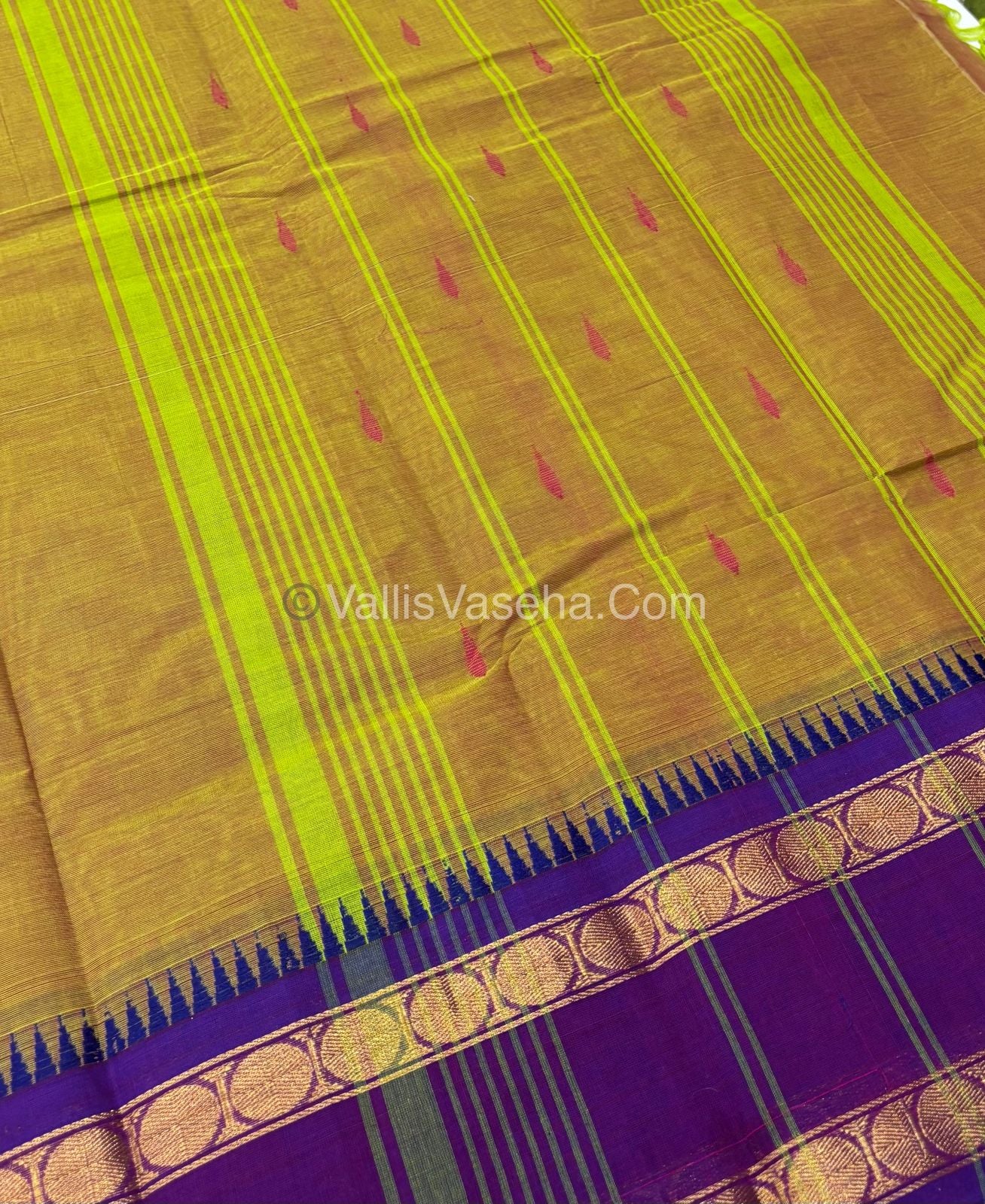 Kanchi Cotton Saree - VVKCS017