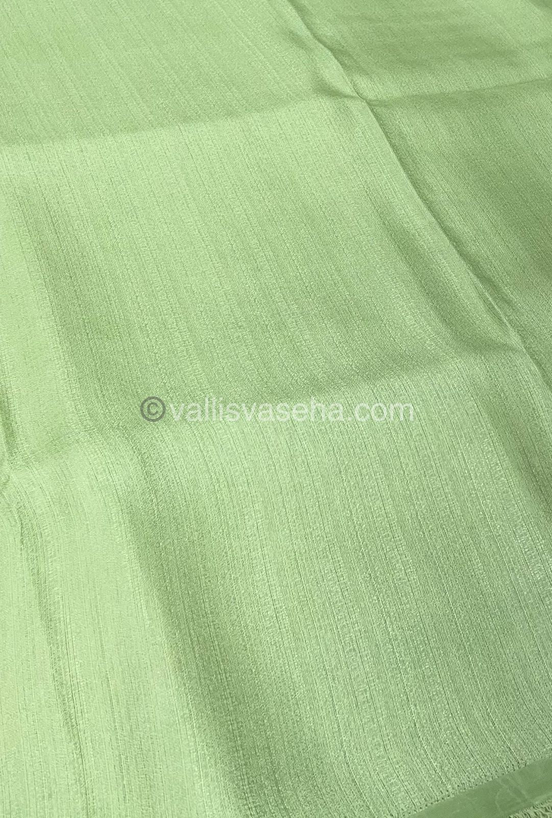 Organza Saree - Light Green Shade - VVOS001