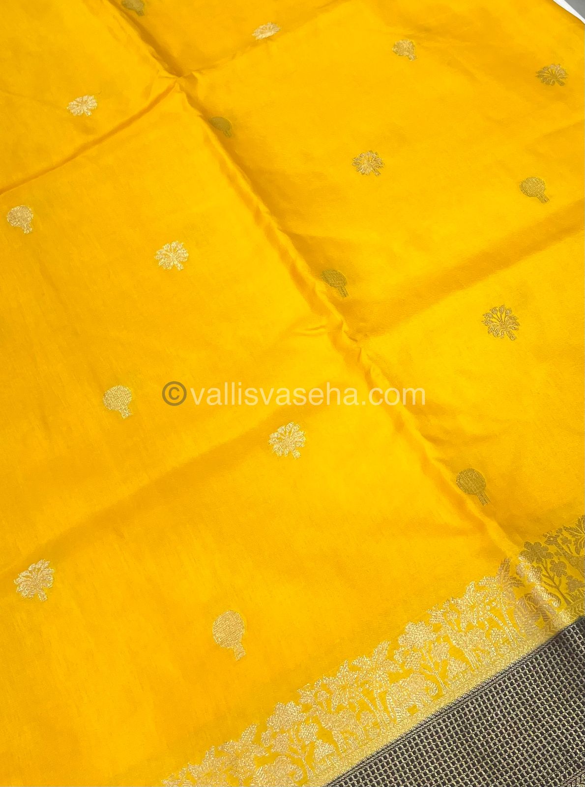 Russian Viscose - Premium Viscose Saree - VVRVS001