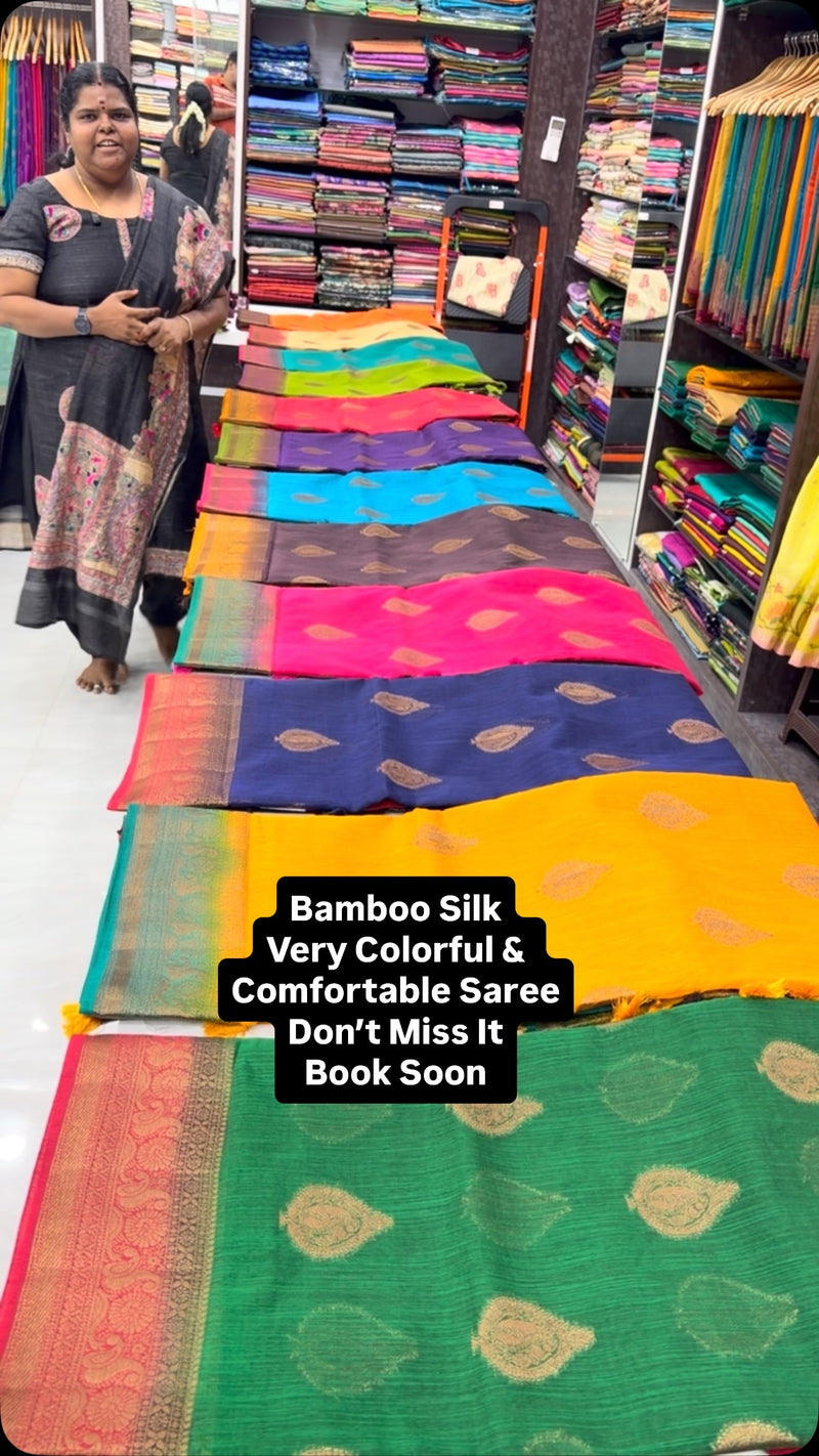 Bamboo silk Saree | All over butta | Brocade Blouse

Vallisvaseha.c...