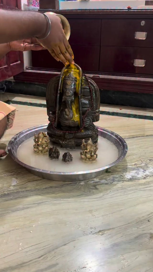 Happy Ganesh Chaturthi 2026 🙏🙏
#vallisvaseha #ganeshchaturthi2026