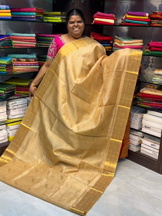 Pure Silk Cotton Saree - Paithani border - Cream & Red Combo - VVPSC001