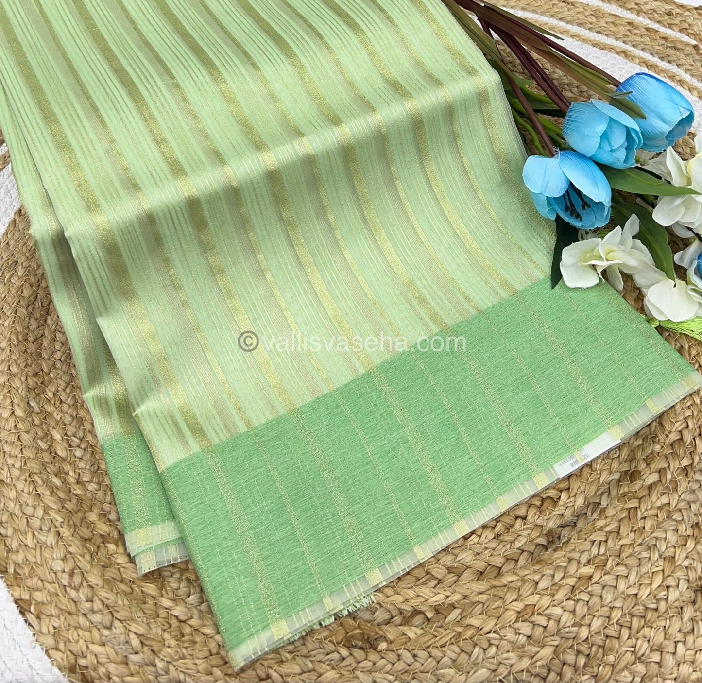 Organza Saree - Light Green Shade   - VVOS001