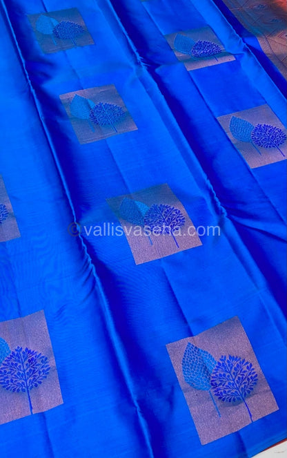 Pure Soft Silk Saree - Light Weight - Blue with Peachish Pink shade - VVPSS025