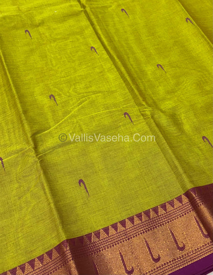 Kanchi Cotton Saree - VVKCS017