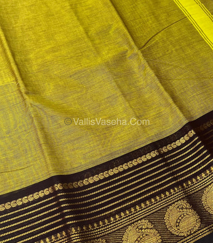 10 Yards - Kanchi Cotton Saree - VVKC901