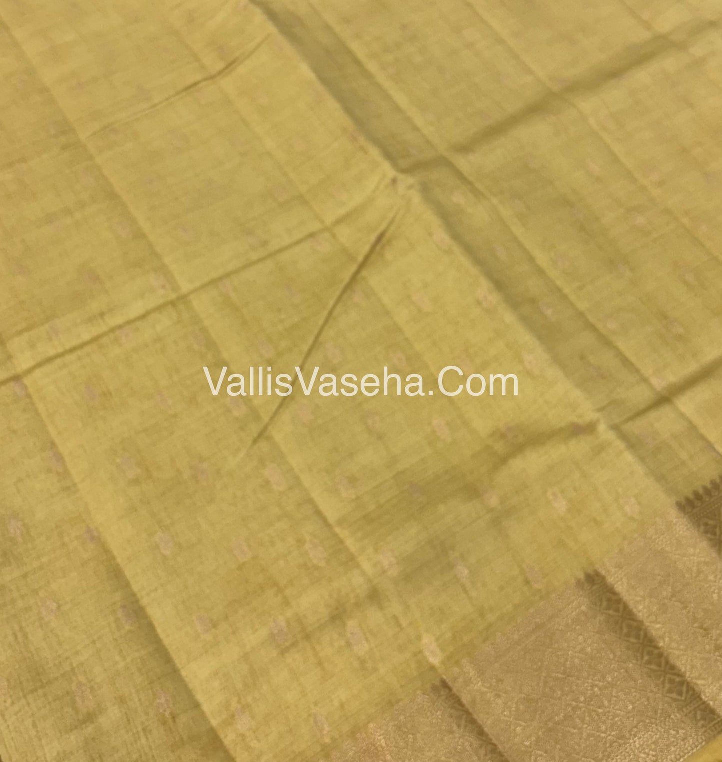 Semi Tussar Silk - Grand Pallu  - Cream Shade - VVSTS022