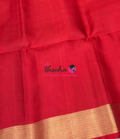 Pure Soft Silk Saree  - Pochampally Design - Light Green & Red Combo - VVPSS110
