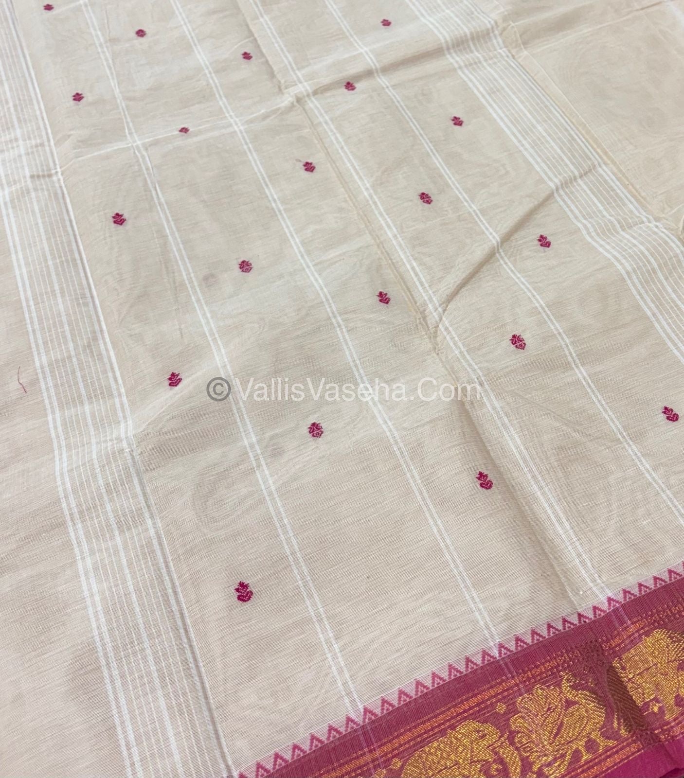 Kanchi Cotton Saree - VVKCS017