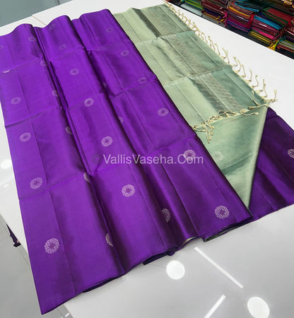 Pure Soft Silk Saree - Border Less  - Purple & Pastel Green Combo - VVPSS055