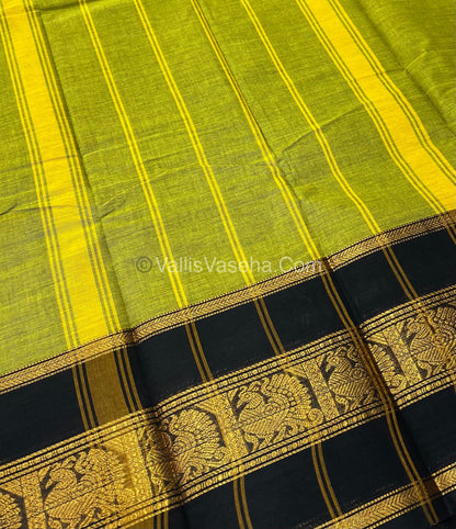 Kanchi Cotton Saree - VVKCS007
