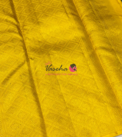 Pure Kanchipuram Silk Saree - Border Less - Green with Yellow Combo - VVPS043