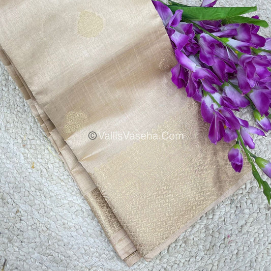 Semi Tussar Silk - Grand Pallu  - Chikku Shade - VVSTS041