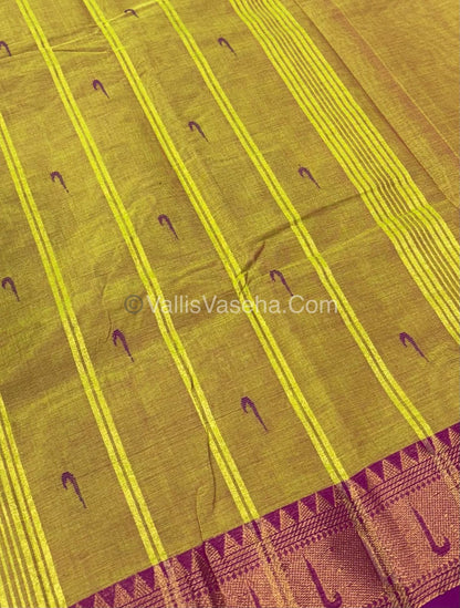 Kanchi Cotton Saree - VVKCS017