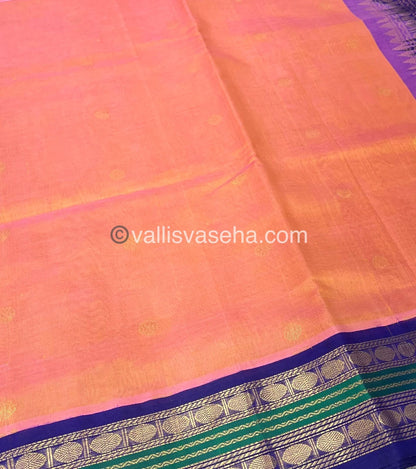 Pure Korvai Silk Cotton Saree - Peach & Gold with Blue - VVKSC004