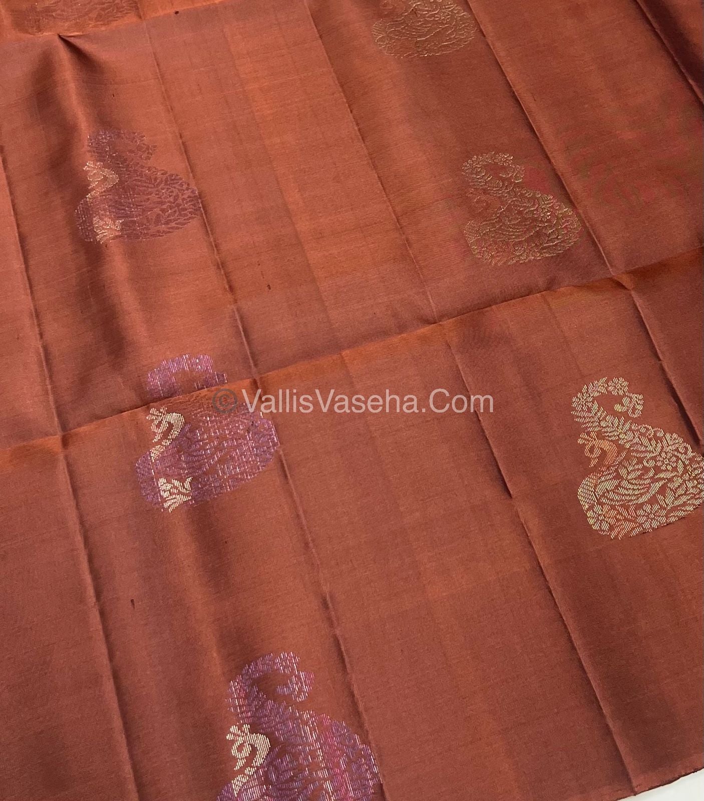 Pure Soft Silk Saree - Border Less  - Brown & Light Peach Combo - VVPSS055