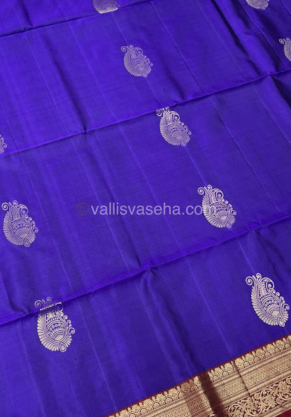 Pure Soft Silk Saree - Kanchi Border - VVPSS015