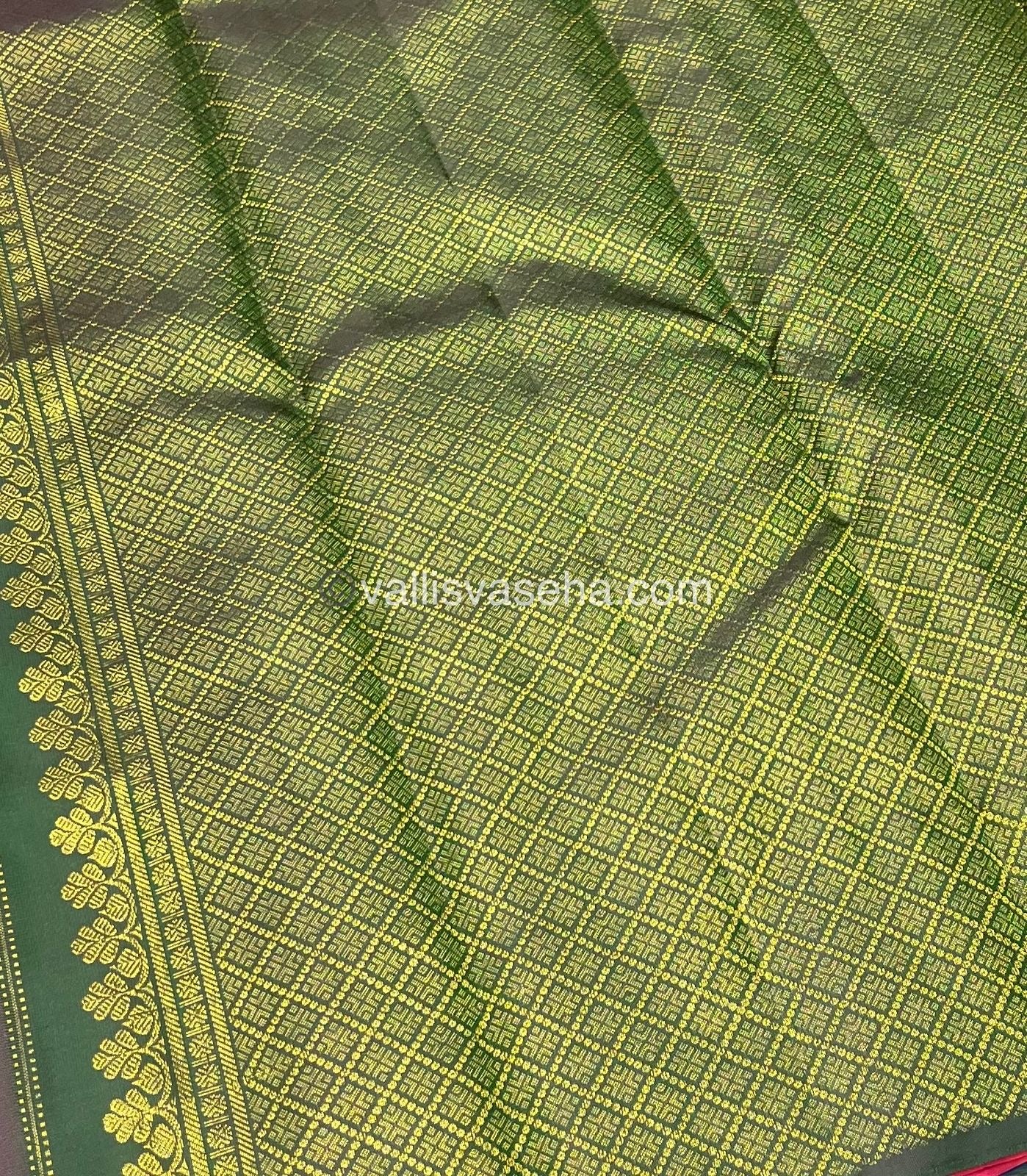 Pure Kanchipuram Silk Saree - Borderless - Peach with Green - VVPS022