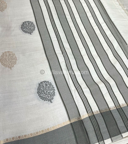 Semi Tussar Silk Saree - Cream shade - VVSTS009