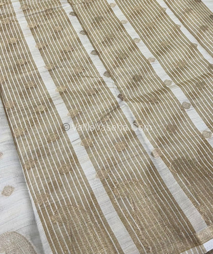 Semi Tussar Silk Saree - Cream shade - VVSTS010