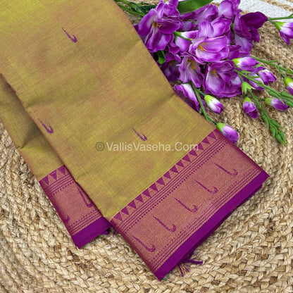 Kanchi Cotton Saree - VVKCS017