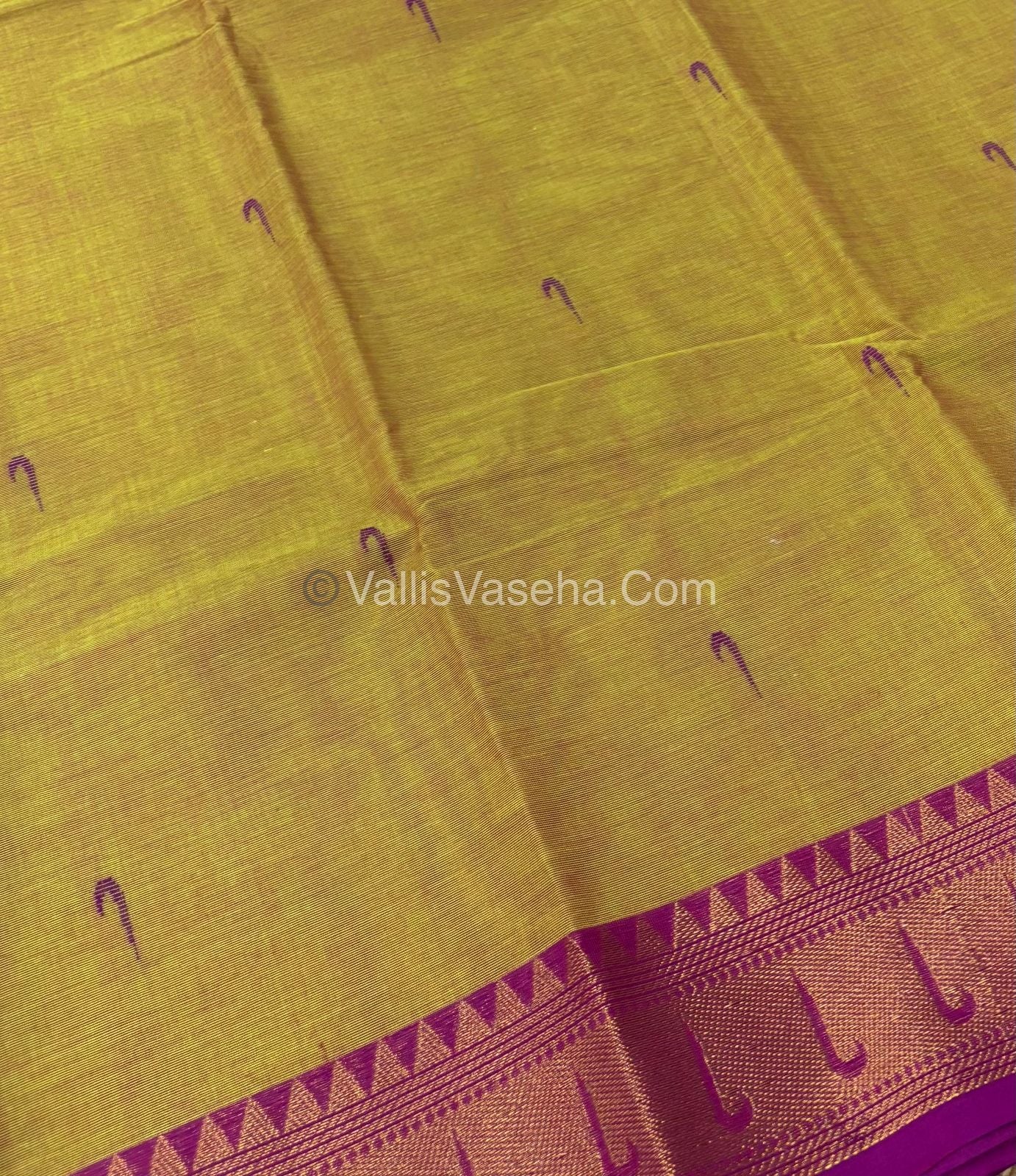Kanchi Cotton Saree - VVKCS017