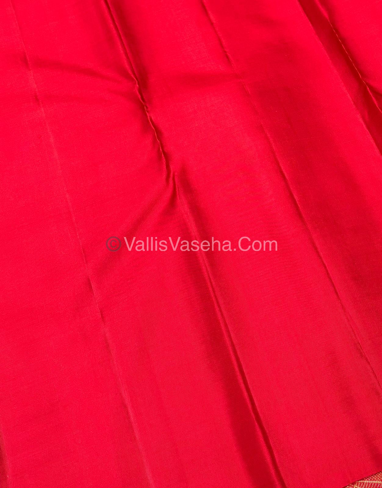 Pure Kanchipuram Silk Saree - Borderless - Red Shade - VVPS043