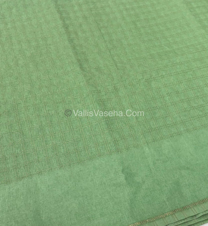 Bhagalpuri Semi Tussar Saree - Light Pastle Green Shade - VVBTS001