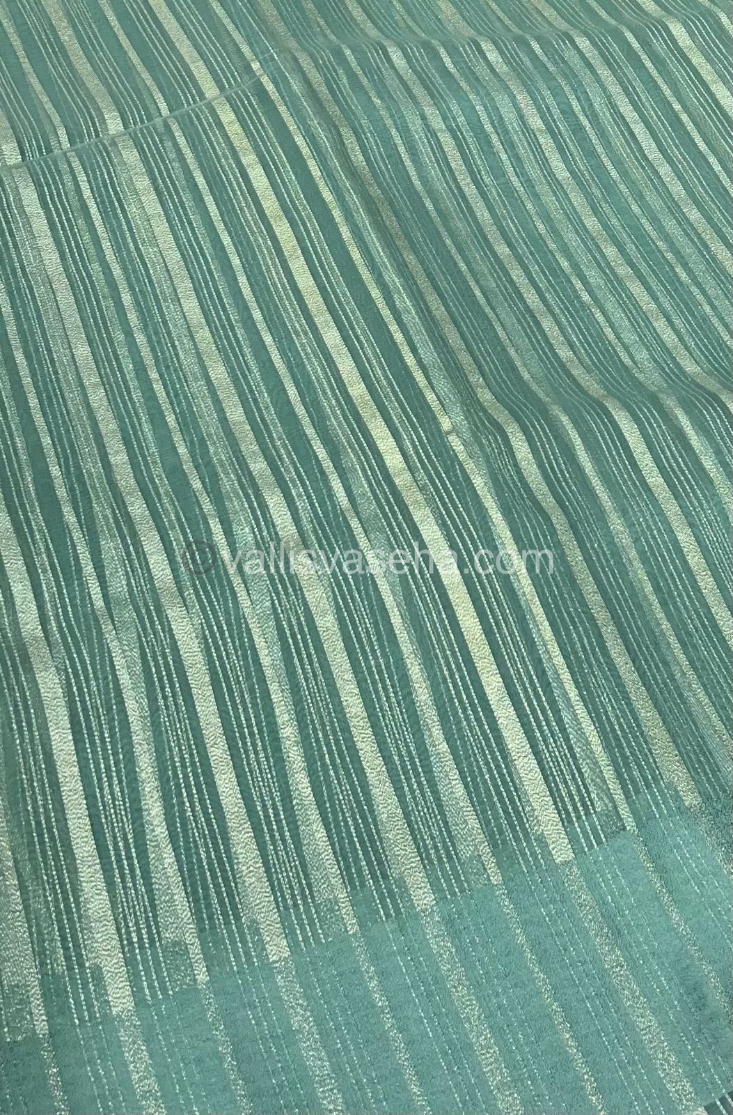 Organza Saree - Pastel Green Shade - VVOS001