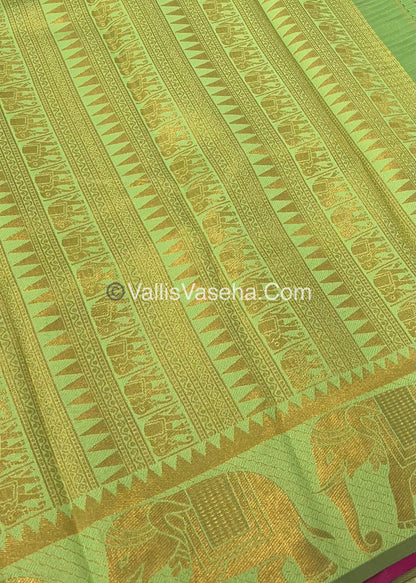 Kanchi Semi Silk - Elephant Border& design -  Pink & Green- VVSSS005