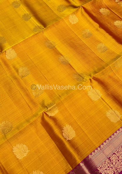 Pure Soft Silk Saree - Kanchi Border - VVPSS015