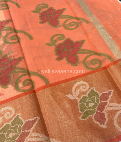 Banarasi Pochampally Weaving Semi Soft Cotton Saree - Cream with Orange - VVBPS001
