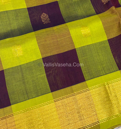 Pure Silk Cotton Saree - Pazhum Pazhamum Checks Design - VVPPSC02