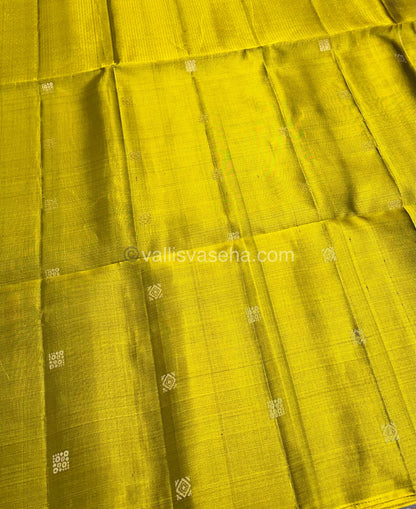 Pure Soft Silk Saree - Border less - VVPSS032