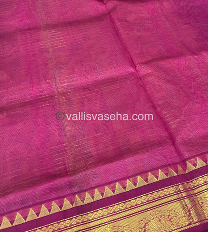 Pure Korvai Silk Cotton - Zari checks lines - Cream Gold & Merunish Pink Combo - VVKSC010