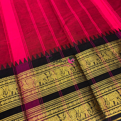 Kanchi Cotton Saree - VVKCS019