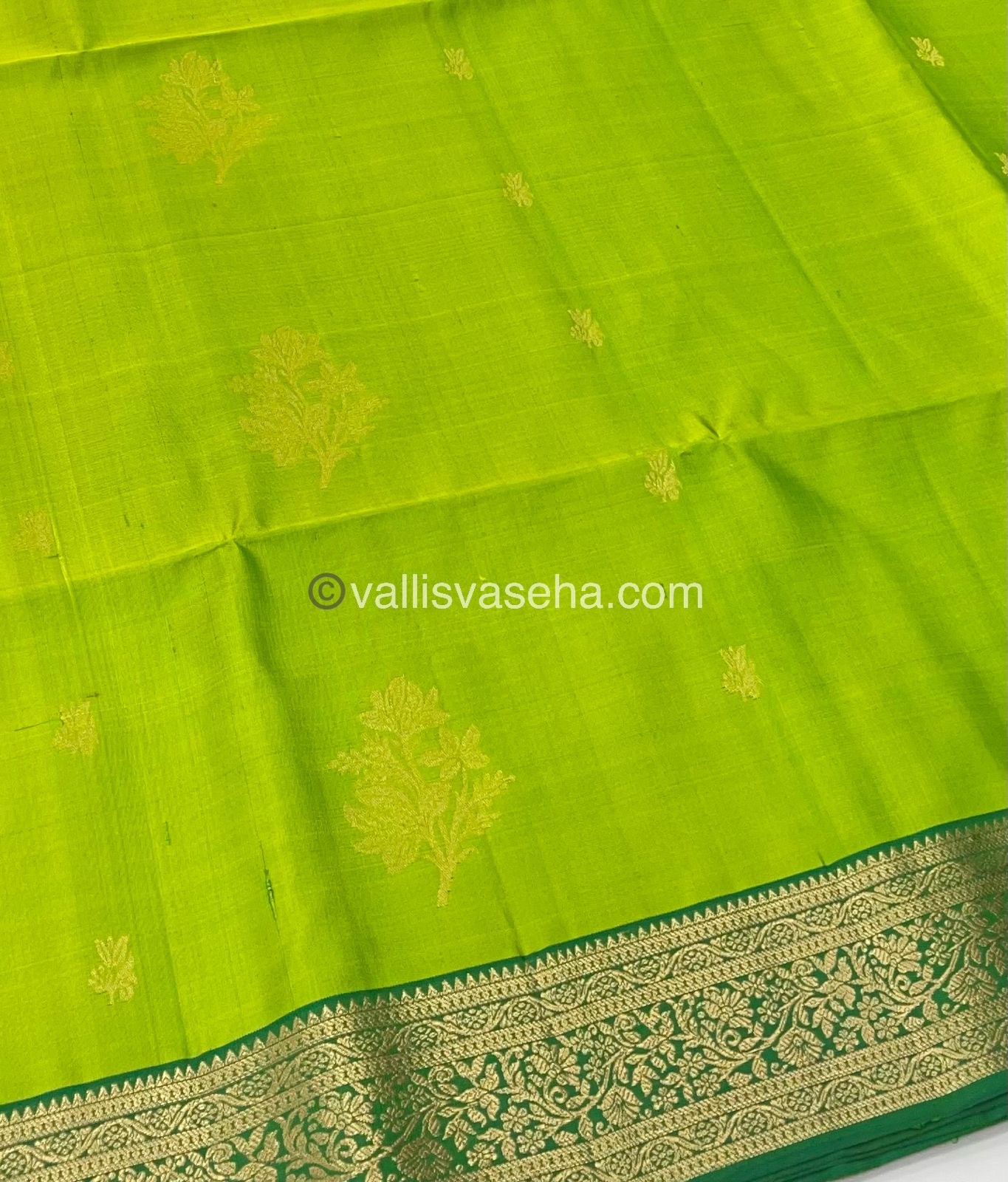 Pure Soft Silk Saree - Kanchi Border - VVPSS015