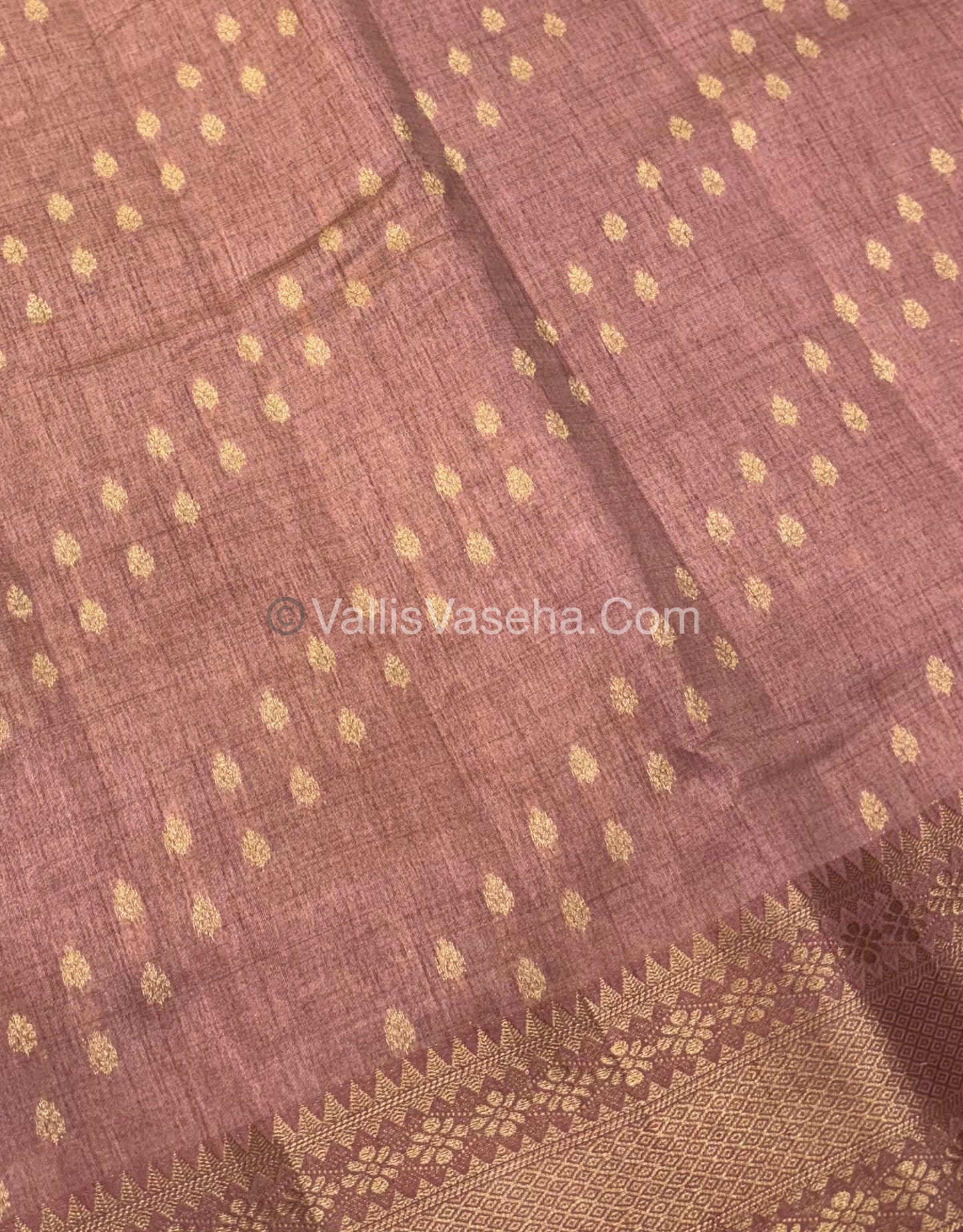 Semi Tussar Silk - Grand Pallu  - Biscuit Shade - VVSTS017