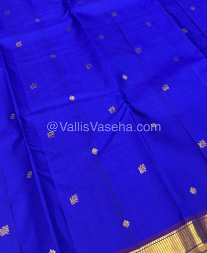 Pure Kanchipuram Silk Saree - Blue & Purplish Pink Combo - VVPS016