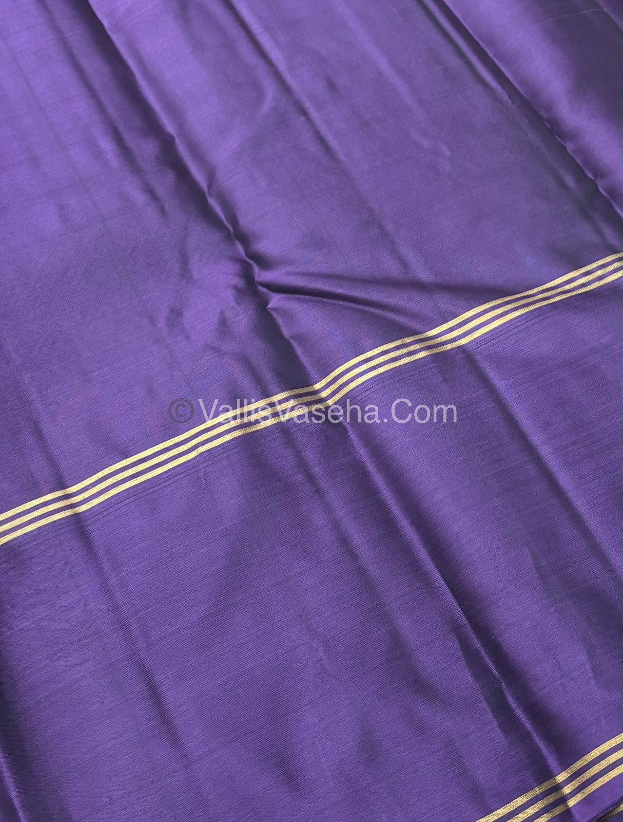 Half Mix - Pure Soft Silk Saree - Long Retta Petta Border with Butta - VVPSS076