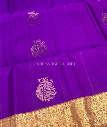 Pure Soft Silk Saree - Kanchi Border - VVPSS015