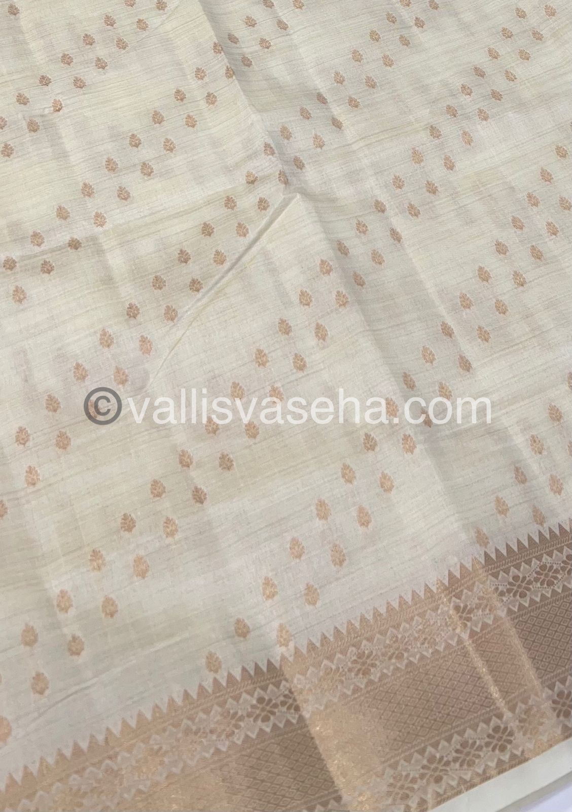 Semi Tussar Silk - Grand Pallu  - Cream Shade - VVSTS017