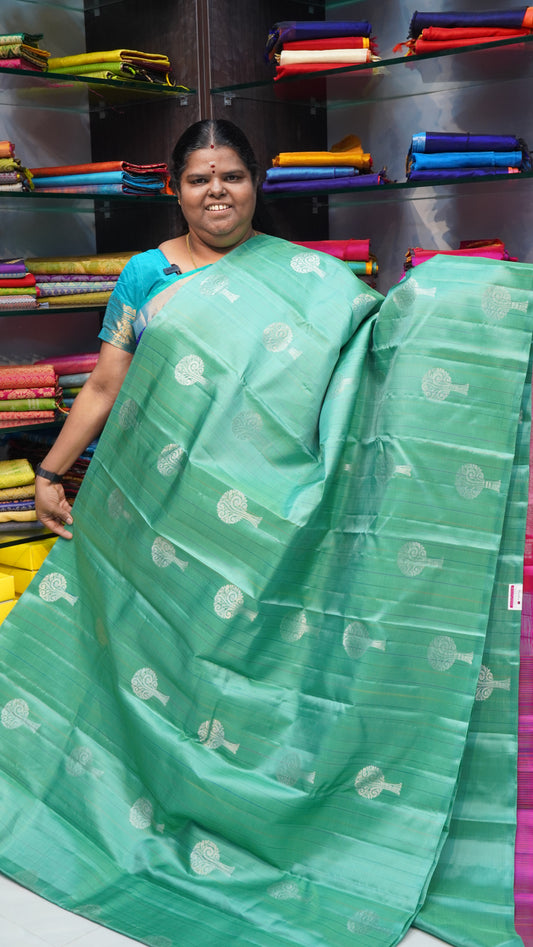 Pure Soft Silk Saree - Pastel Green With Pink - VVPSS023