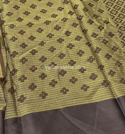 Mixed Cotton Brasso Saree - VVBS001