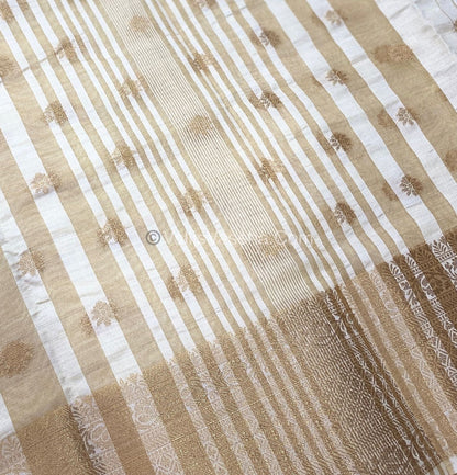 Semi Tussar Silk  - Cream Shade - VVSTS014