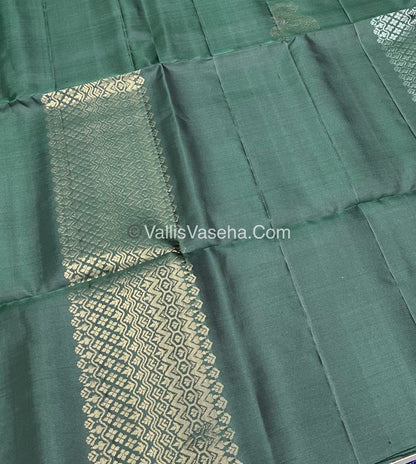 Pure Soft Silk Saree | Borderless |  VVPSS038